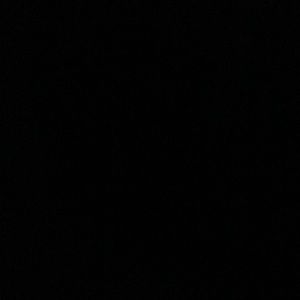 Meet your Posher, Selma